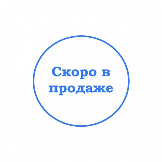 2.4.5. Компьютерные программы и программное обеспечение для коррекции нарушений речевого развития
